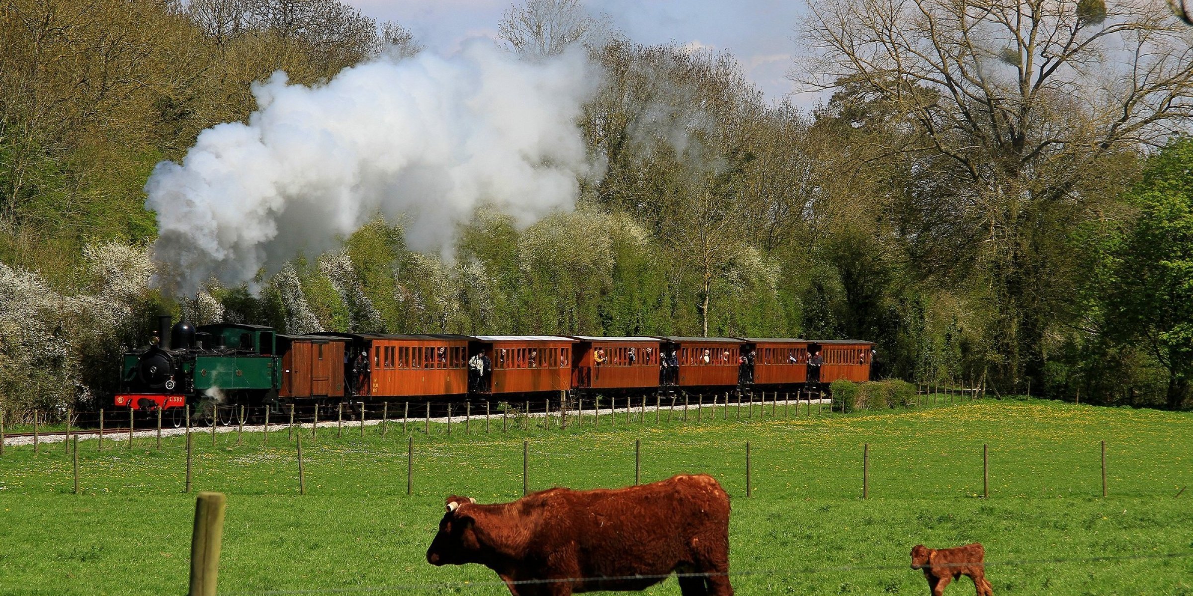 Steam train