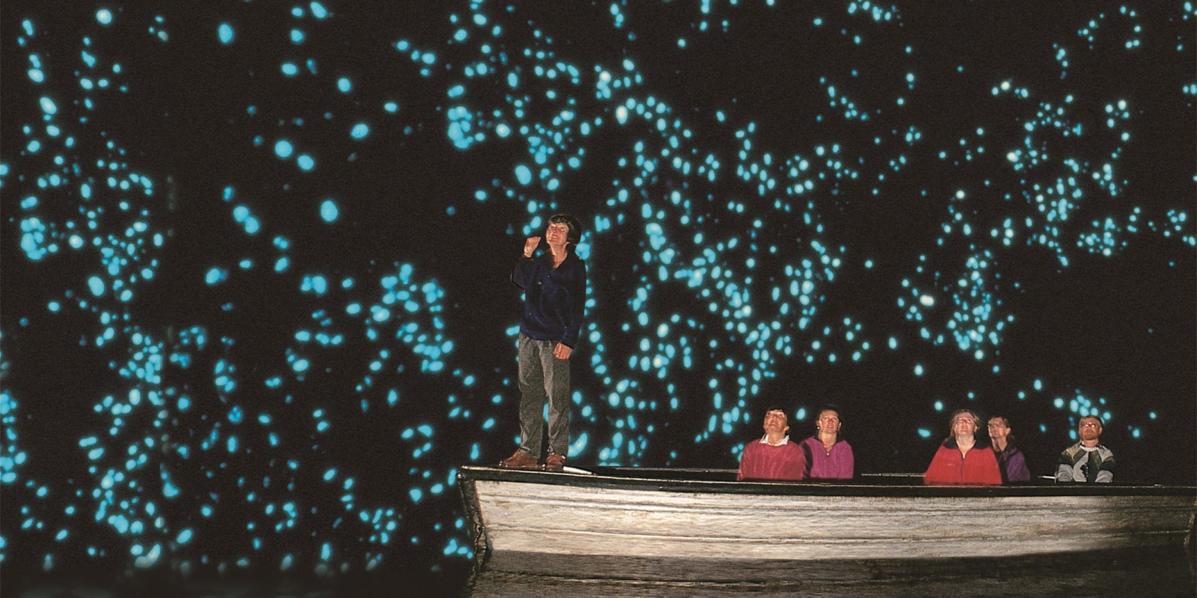 Glowworms