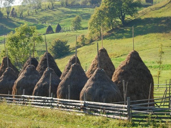 Haystacks