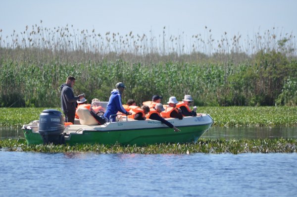 Danube Delta 
