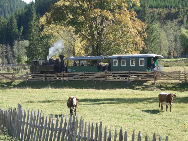 Moldovita Railway