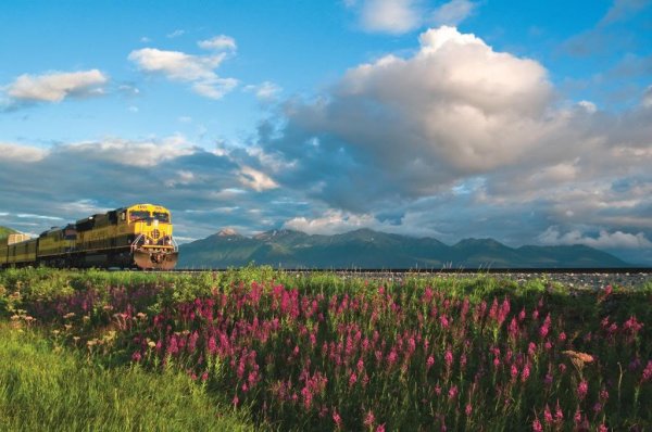 Turnagain Arm