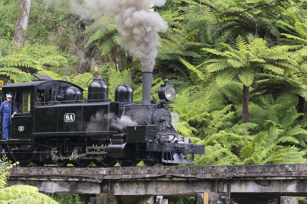 Puffing Billy