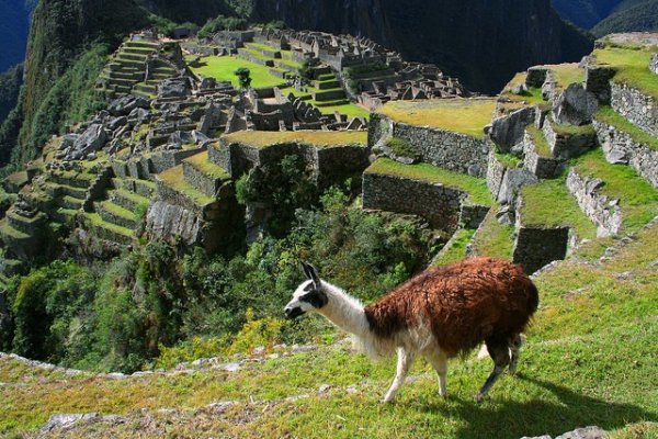 Machu Picchu