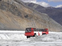 Ice Explorer at Columbia Icefield