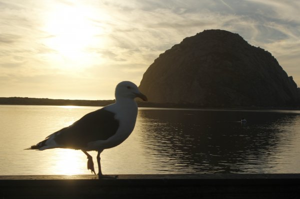 Morro Bay
