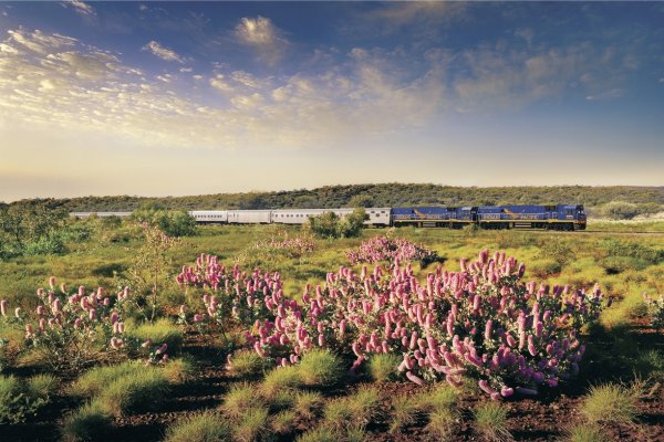 The Indian Pacific