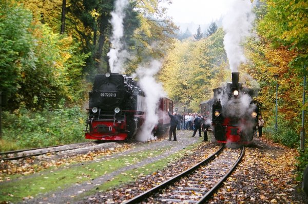 Steinerne Renne 