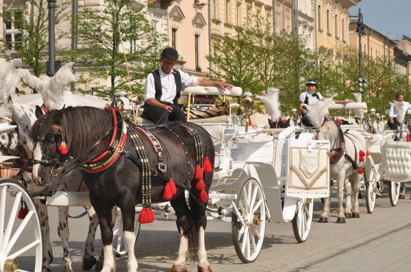 Krakow