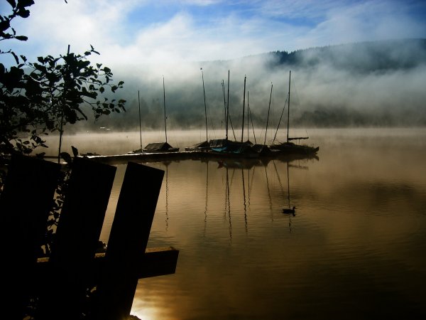 Black Forest Lake