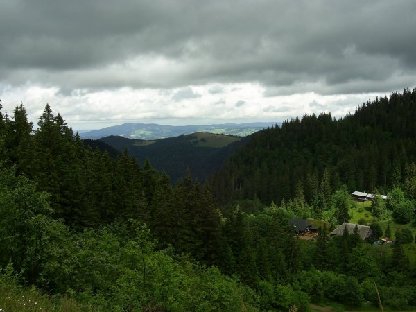 Black Forest