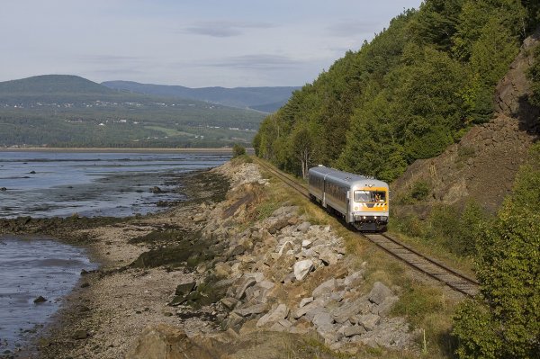 Light train